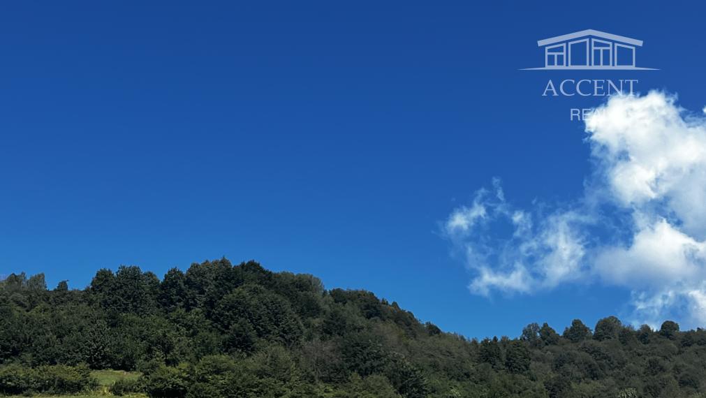 REKREAČNÉ CHATY (116M2) V ŠTANDARDE S KUCHYŇOU -  V NÁDHERNEJ LOKALITE LYŽIARSKEHO STREDISKA MÝTO POD ĎUMBIEROM