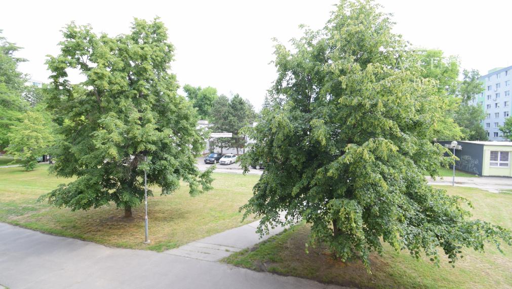 PRIPRAVUJEME PRE VÁS - PREDAJ KOMPLETNE ZREKONŠTRUOVANÉHO 3 IZBOVÉHO BYTU (70 M2)V RUŽINOVE VO VÝBORNEJ LOKALITE PLNEJ ZELENE