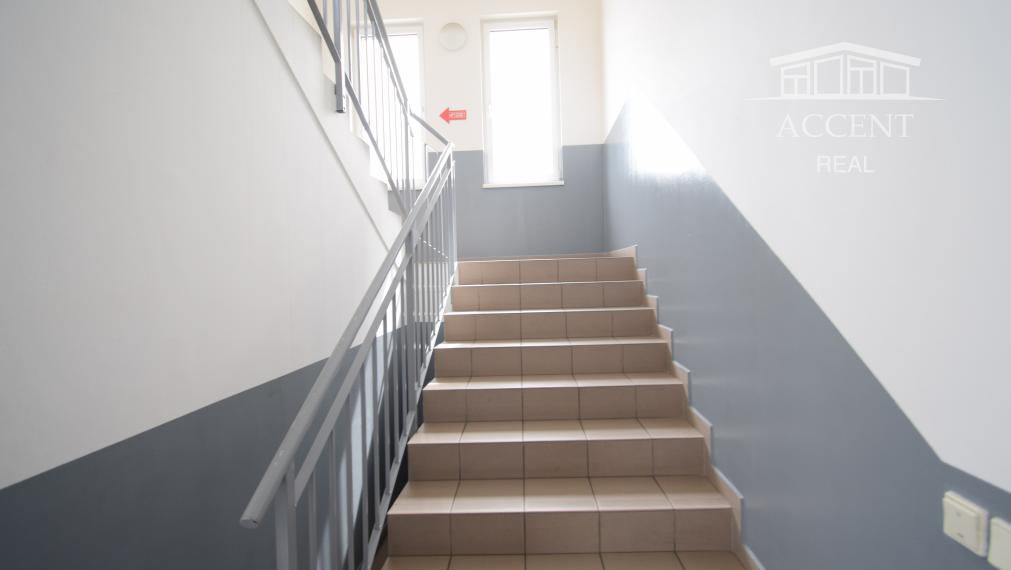 OBCHODNÉ PRIESTORY S KANCELÁRIAMI  NA FREKVENTOVANEJ ULICI (205 m2) IVANSKÁ CESTA