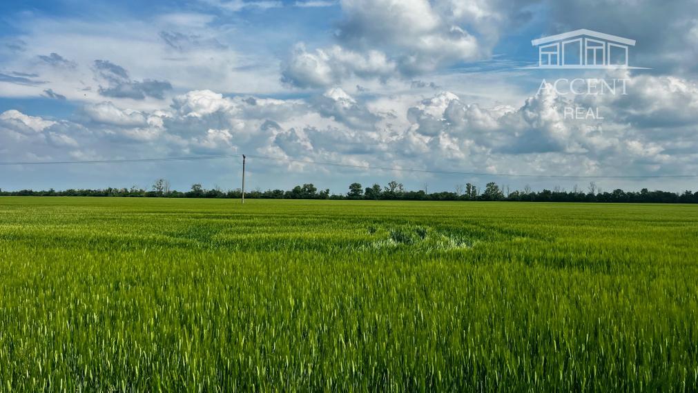 ROŽNÝ VOĽNÝ STAVEBNÝ POZEMOK (612M2),  SKVELÁ POLOHA -  MOST PRI BRATISLAVE