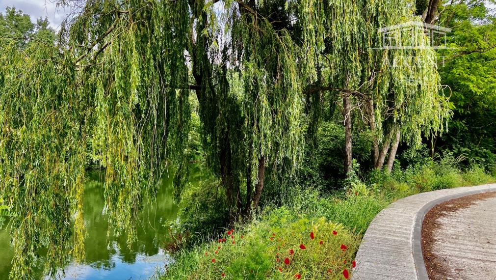 REKREAČNÝ POZEMOK (672M2) -ZELENÁ VODA- MOST PRI BRATISLAVE