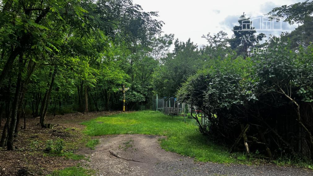 LESNÝ POZEMOK V SUSEDSTVE CHATOVEJ OSADY - 4845M2 - DEVÍNSKE JAZERO