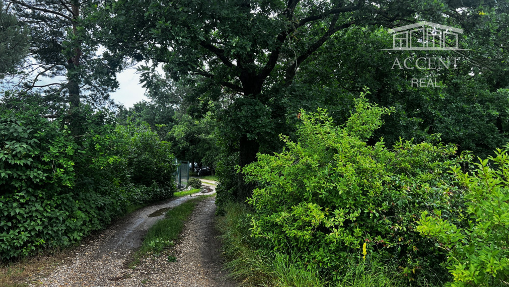 LESNÝ POZEMOK V SUSEDSTVE CHATOVEJ OSADY - 4845M2 - DEVÍNSKE JAZERO