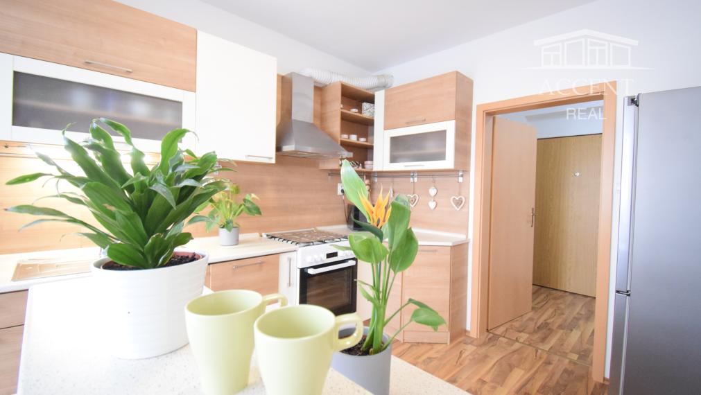 PREDAJ ÚTULNÉHO 2 IZBOVÉHO BYTU V TEHLOVOM BEZBARIEROVOM DOME S BALKÓNOM A PIVNICOU