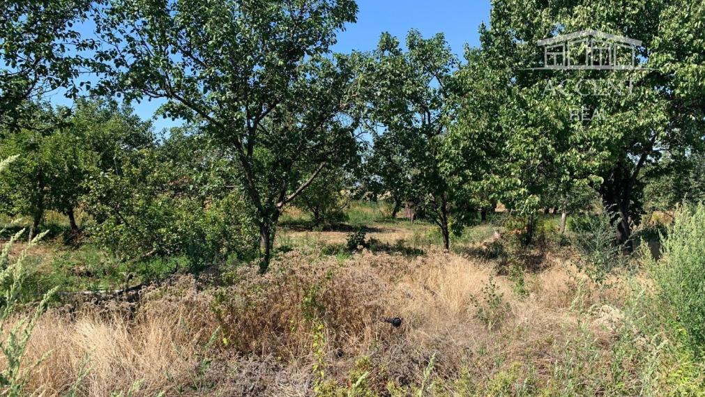 PEKNÝ ROŽNÝ STAVEBNÝ POZEMOK (626M2) S HOTOVÝM PROJEKTOM A SO STAVEBNÝM POVOLENÍM- VŠETKY INŽINIERSKE SIETE - 4KM OD SENCA - KRÁĽOVÁ PRI SENCI