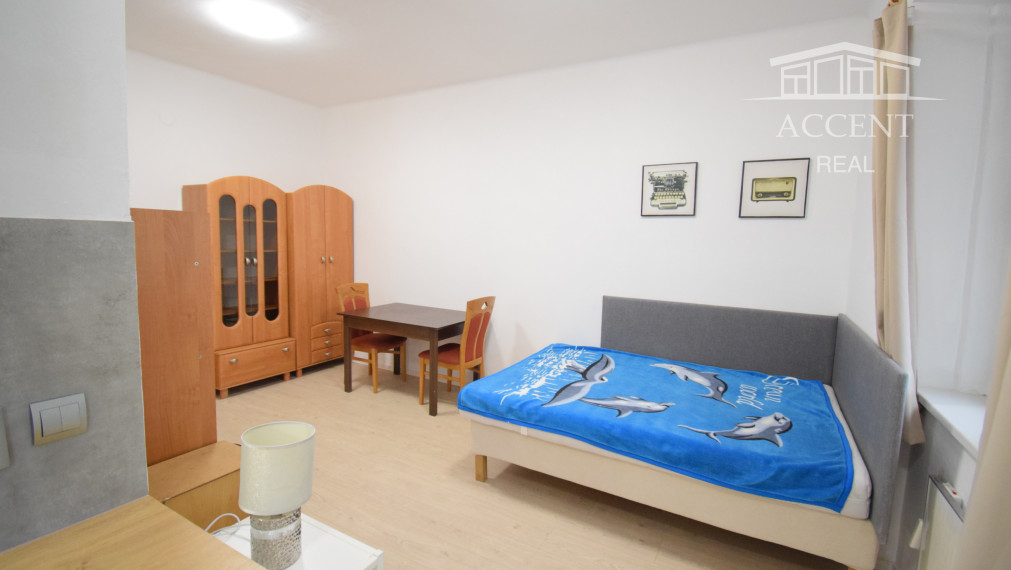 PRENÁJOM PEKNÉHO 1 - IZBOVÉHO BYTU V CENTRE MESTA