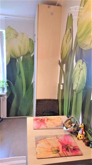 PRENÁJOM PEKNÉHO 1 IZBOVÉHO BYTU S BALKÓNOM V RUŽINOVE