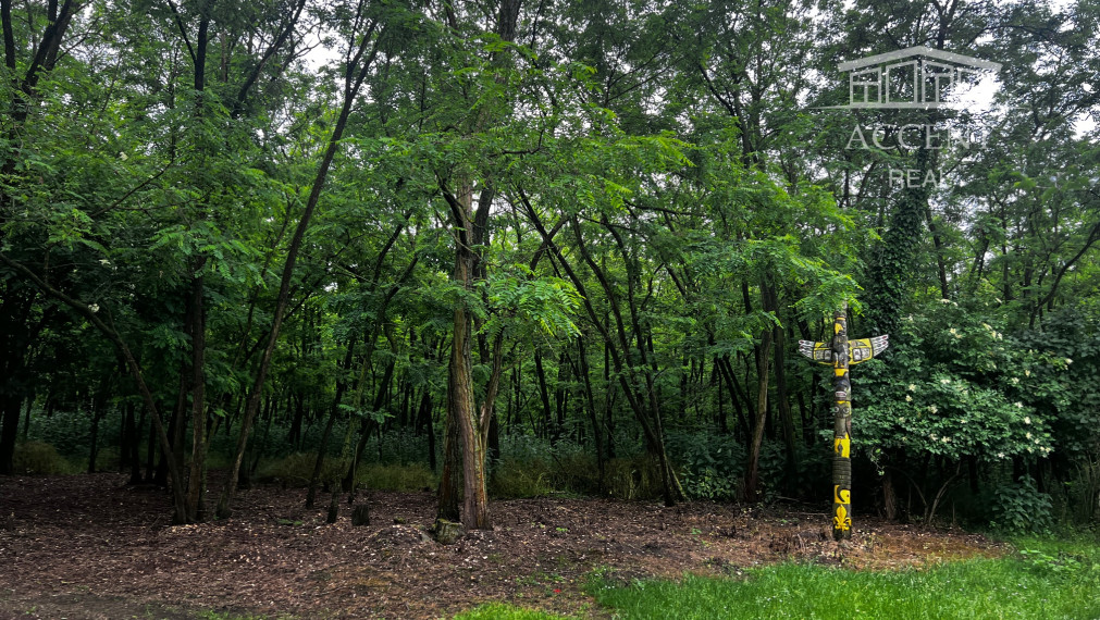 LESNÝ POZEMOK V SUSEDSTVE CHATOVEJ OSADY - 4845M2 - DEVÍNSKE JAZERO