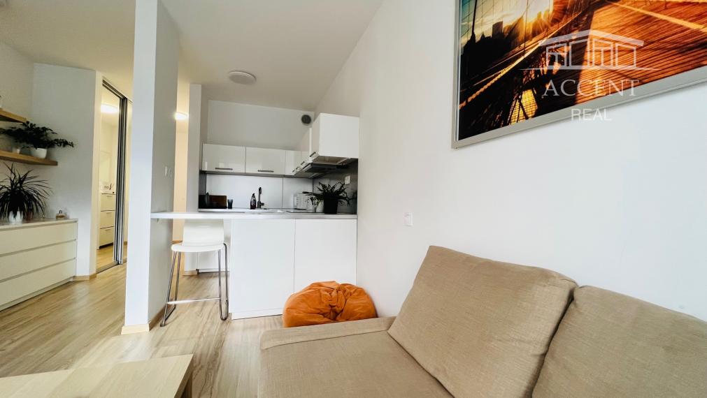 PRENÁJOM VEĽMI PEKNÉHO KLIMATIZOVANÉHO  JEDNOIZBOVÉHO BYTU S LOGGIOU A S PARKOVACÍM MIESTOM - SLNEČNICE