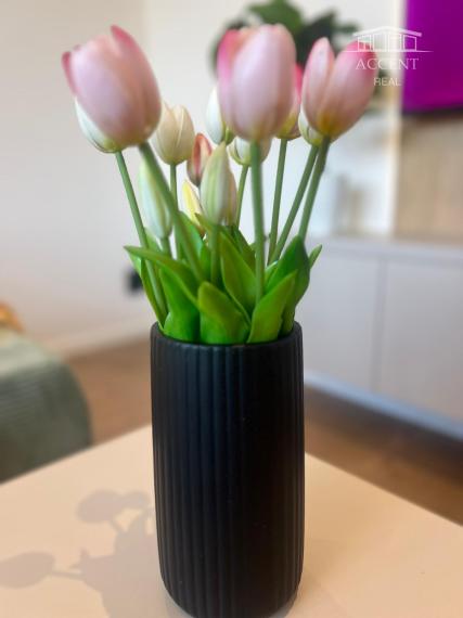 PRENÁJOM PEKNÉHO,SLNEČNÉHO, KOMPLETNE ZREKONŠTRUOVANÉHO 2 IZBOVÉHO BYTU NA STREČIANSKEJ ULICI S PIVNIČNOU KOBKOU