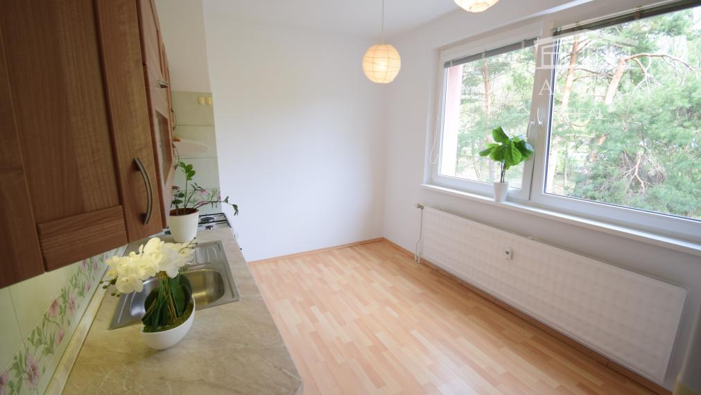 VEĽKORYSÝ 1 IZBOVÝ BYT SO SAMOSTATNOU KUCHYŇOU