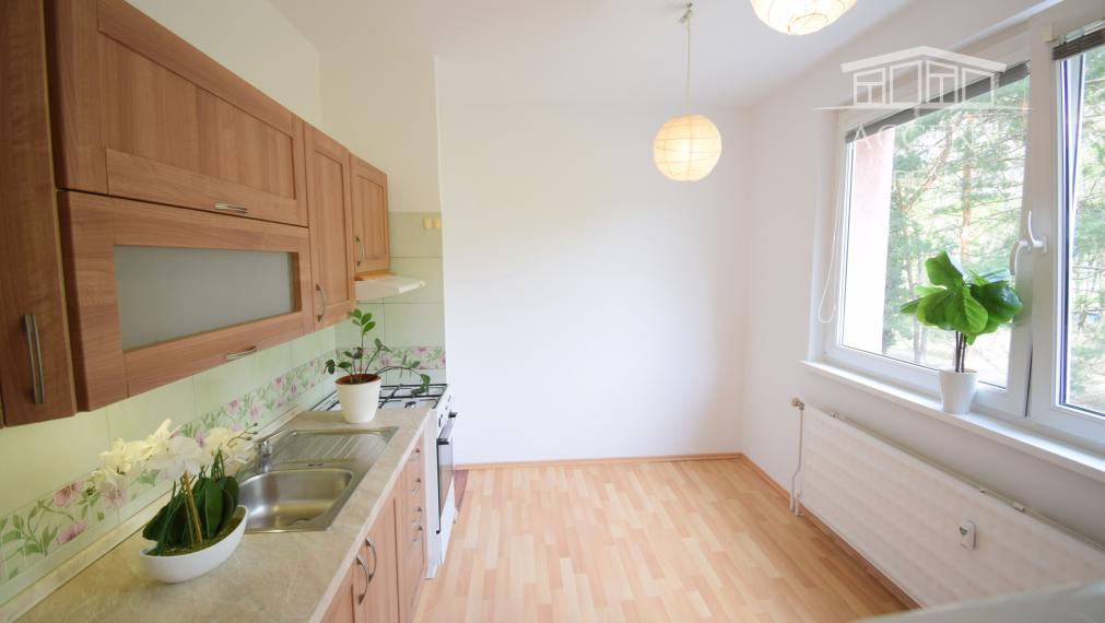 VEĽKORYSÝ 1 IZBOVÝ BYT SO SAMOSTATNOU KUCHYŇOU