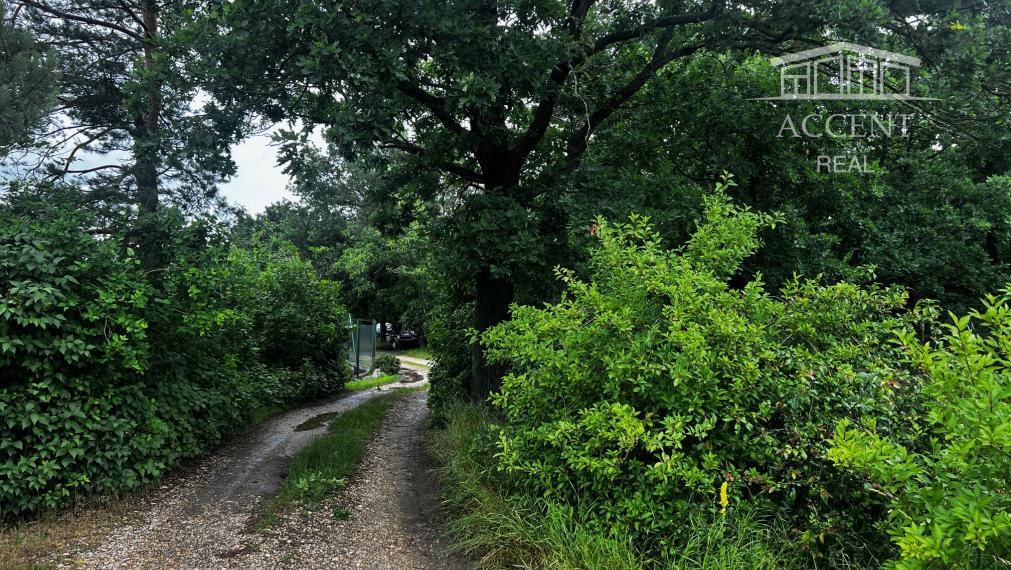 LESNÝ POZEMOK V SUSEDSTVE CHATOVEJ OSADY - 4845M2 - DEVÍNSKE JAZERO
