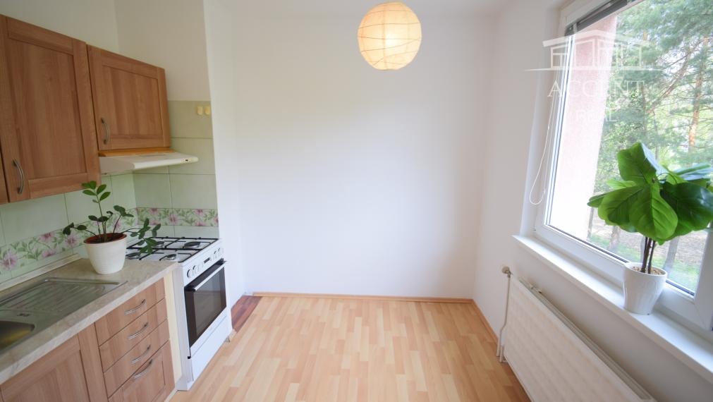 VEĽKORYSÝ 1 IZBOVÝ BYT SO SAMOSTATNOU KUCHYŇOU