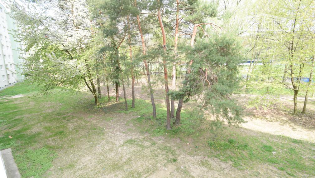 VEĽKORYSÝ 1 IZBOVÝ BYT SO SAMOSTATNOU KUCHYŇOU