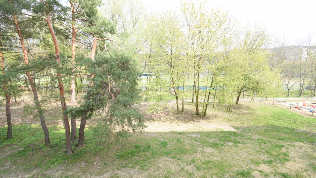 REZERVOVANÝ - VEĽKORYSÝ 1 IZBOVÝ BYT SO SAMOSTATNOU KUCHYŇOU