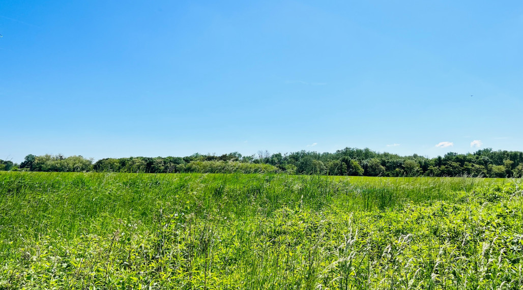 REKREAČNÝ POZEMOK (672M2) -ZELENÁ VODA- MOST PRI BRATISLAVE