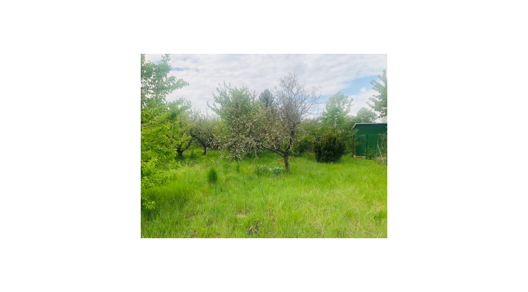 STAVEBNÝ POZEMOK V RÉCI 1061 m2