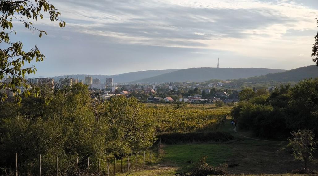 ZNÍŽENÁ CENA - STAVEBNÝ POZEMOK - RAČA (MOŽNOSŤ ROZDELENIA NA TRI ČASTI)