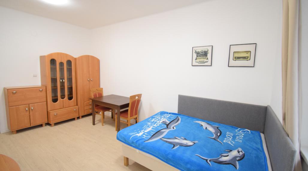 PRENÁJOM PEKNÉHO 1 - IZBOVÉHO BYTU V CENTRE MESTA