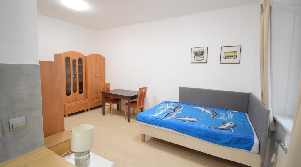 PRENÁJOM PEKNÉHO 1 - IZBOVÉHO BYTU V CENTRE MESTA