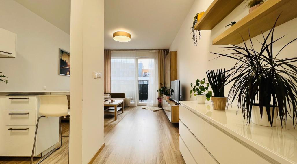 PRENÁJOM VEĽMI PEKNÉHO KLIMATIZOVANÉHO  JEDNOIZBOVÉHO BYTU S LOGGIOU A S PARKOVACÍM MIESTOM - SLNEČNICE