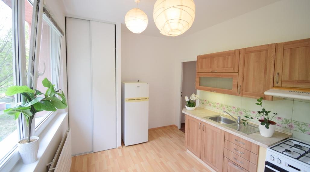 VEĽKORYSÝ 1 IZBOVÝ BYT SO SAMOSTATNOU KUCHYŇOU