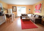 ACCENT REAL / PEKNÝ, KOMPLETNE ZARIADENÝ 1-IZBOVÝ BYT 45M2 S PARKOVACÍM MIESTOM - fotografia 3