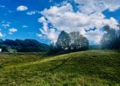 REKREAČNÉ CHATY (116M2) V ŠTANDARDE S KUCHYŇOU -  V NÁDHERNEJ LOKALITE LYŽIARSKEHO STREDISKA MÝTO POD ĎUMBIEROM - fotografia 26