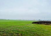 PEKNÝ REKREAČNÝ POZEMOK (ZÁHRADA, 818M2) V ČUNOVE - fotografia 3
