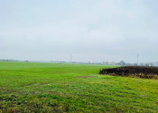 PEKNÝ REKREAČNÝ POZEMOK (ZÁHRADA, 818M2) V ČUNOVE - fotografia 3