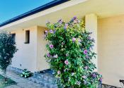 ACCENT REAL - ZNÍŽENÁ CENA- PRIESTRANNÝ 4-IZBOVÝ BUNGALOV (188M2) S GARÁŽOU A S PEKNÝM POZEMKOM (550M2) LEN 4KM OD SENCA - HRUBÝ ŠÚR - fotografia 7
