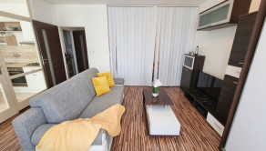 ACCENT REAL / PRENÁJOM ÚTULNÉHO 1 IZBOVÉHO BYTU S BALKÓNOM V RAČI - fotografia 11