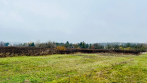 PEKNÝ REKREAČNÝ POZEMOK (ZÁHRADA, 818M2) V ČUNOVE - fotografia 5