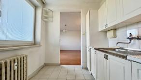 PRIESTRANNÝ 1-IZBOVÝ BYT SO SAMOSTATNOU KUCHYŇOU (37M2) V PRÉMIOVEJ LOKALITE PRI HORSKOM PARKU - STARÉ MESTO - fotografia 2