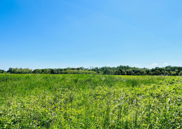 REKREAČNÝ POZEMOK (672M2) -ZELENÁ VODA- MOST PRI BRATISLAVE