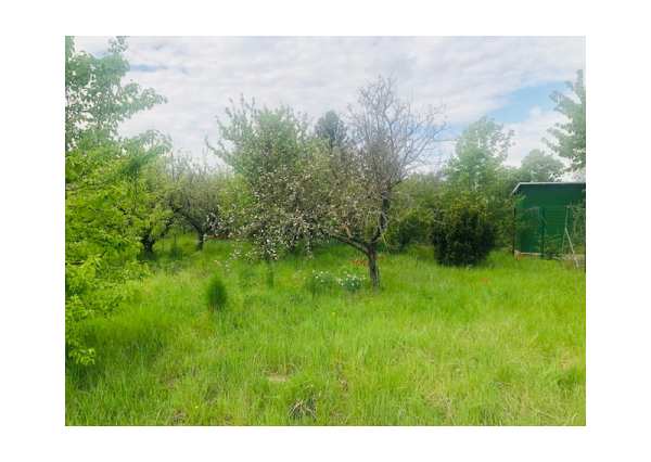 STAVEBNÝ POZEMOK V RÉCI 1061 m2
