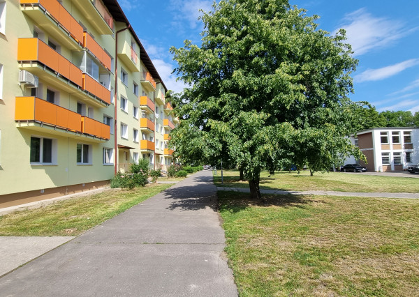 PREDAJ VEĽKORYSÉHO 3 IZBOVÉHO BYTU V ZELENEJ ČASTI RUŽINOVA