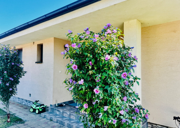 PRIESTRANNÝ 4-IZBOVÝ BUNGALOV (188M2) S GARÁŽOU A S PEKNÝM POZEMKOM (550M2) LEN 4KM OD SENCA - HRUBÝ ŚÚR