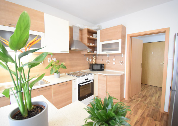 PREDAJ ÚTULNÉHO 2 IZBOVÉHO BYTU V TEHLOVOM BEZBARIEROVOM DOME S BALKÓNOM A PIVNICOU