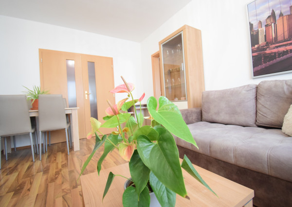 PREDAJ ÚTULNÉHO 2 IZBOVÉHO BYTU V TEHLOVOM BEZBARIEROVOM DOME S BALKÓNOM A PIVNICOU