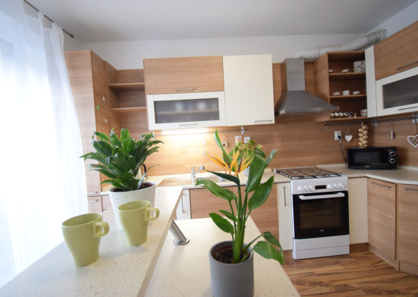 PREDAJ ÚTULNÉHO 2 IZBOVÉHO BYTU V TEHLOVOM BEZBARIEROVOM DOME S BALKÓNOM A PIVNICOU