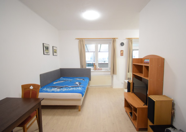 PRENÁJOM PEKNÉHO 1 - IZBOVÉHO BYTU V CENTRE MESTA