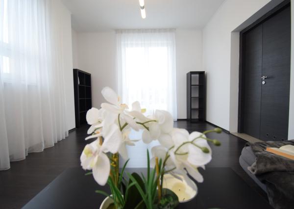 2 IZBOVÝ BYT V UZAVRETOM AREÁLI S KRÁSNOU VEĽKOU TERASOU A PARKOVACÍM MIESTOM (151,38m2)