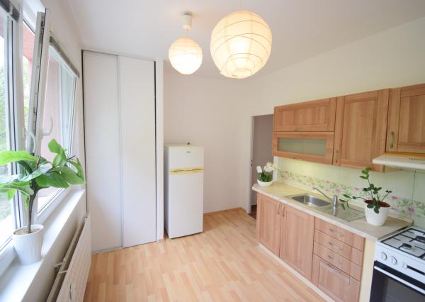 VEĽKORYSÝ 1 IZBOVÝ BYT SO SAMOSTATNOU KUCHYŇOU