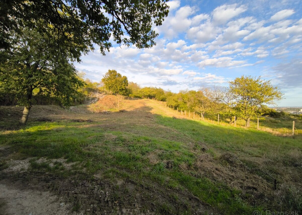 ZNÍŽENÁ CENA - STAVEBNÝ POZEMOK - RAČA (MOŽNOSŤ ROZDELENIA NA TRI ČASTI)