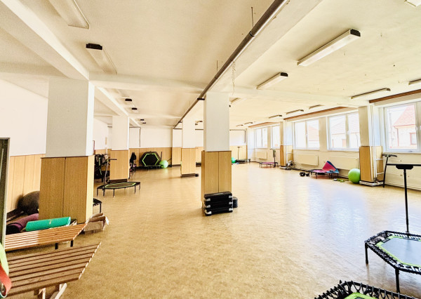 NA PRENÁJOM MULTIFUNKČNÝ PRIESTOR  195 m².