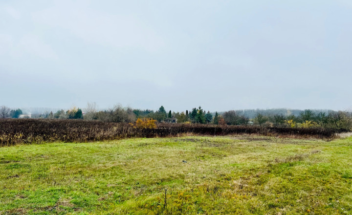 PEKNÝ REKREAČNÝ POZEMOK (ZÁHRADA, 818M2) V ČUNOVE