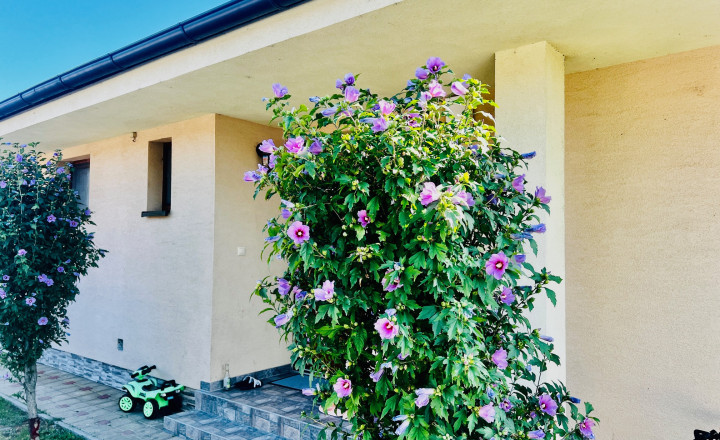 PRENÁJOM - PRIESTRANNÝ 4-IZBOVÝ BUNGALOV (188M2) S GARÁŽOU A S PEKNÝM POZEMKOM (550M2) LEN 4KM OD SENCA - HRUBÝ ŚÚR - fotografia 6