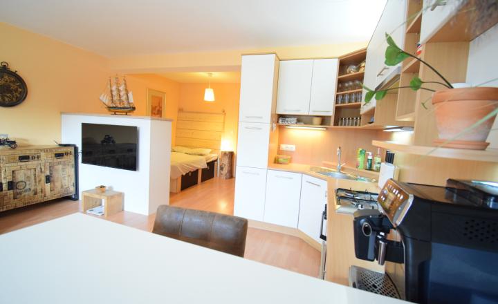 ACCENT REAL / PEKNÝ, KOMPLETNE ZARIADENÝ 1-IZBOVÝ BYT 45M2 S PARKOVACÍM MIESTOM - fotografia 3